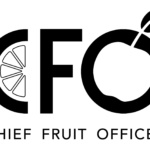 Jamba CFO Training Program Logo