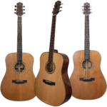 Giuliani Acoustic Guitars