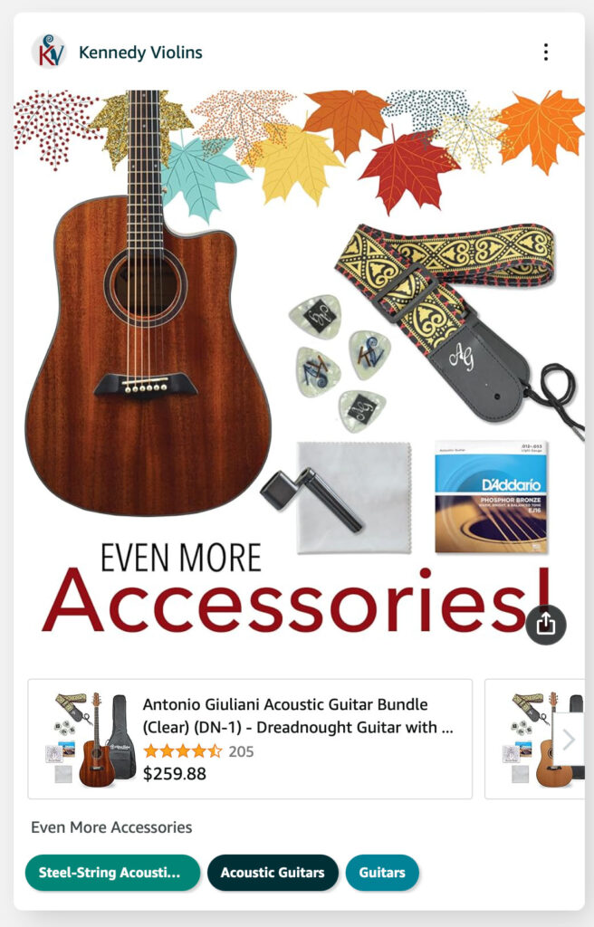 Amazon Store Accessories Post